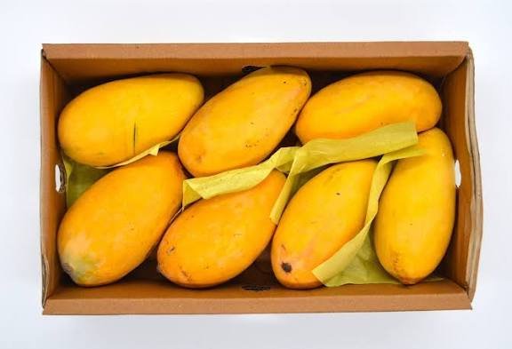 Pakistani Mango Price in Pakistan